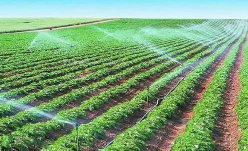 看国产操逼大片农田高 效节水灌溉
